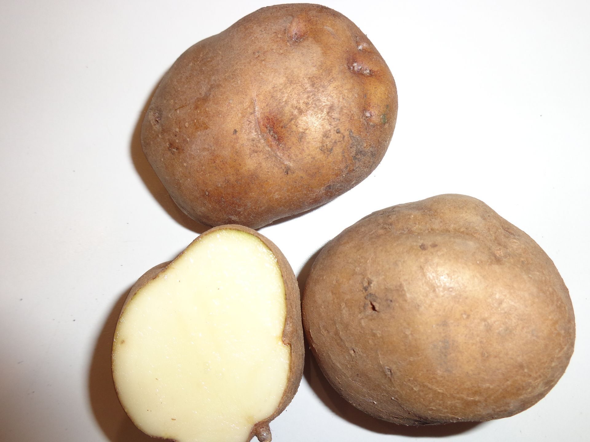 Сорт картофеля Синеглазка (Ганнибал)