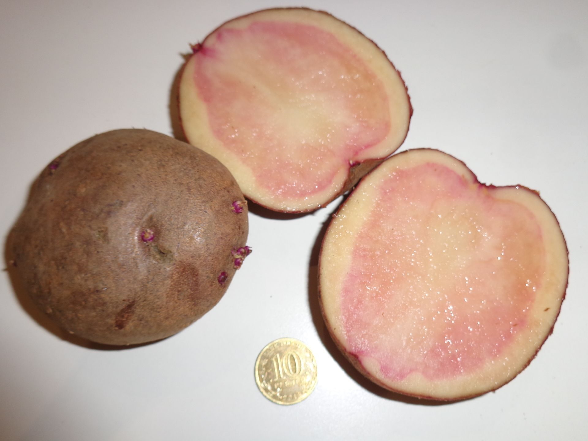 Картофель сюрприз описание сорта. Розовый сюрприз картофель. Бело розовая картошка. Картофель сюрприз фото.